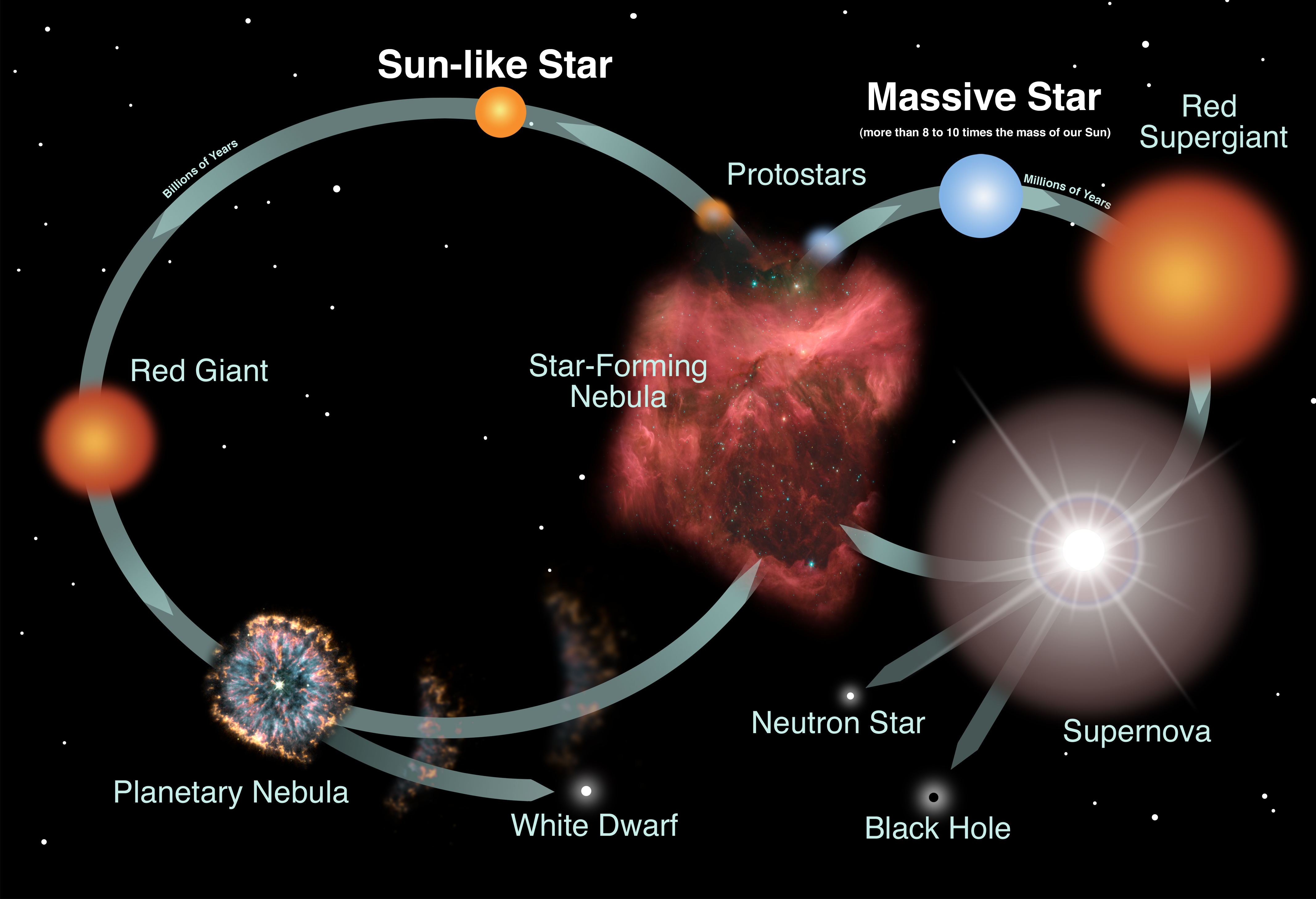 Star Life Cycle